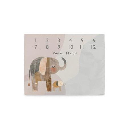 CEBA 309-000-781 Foto mata 92x72 Basic Elephant Family