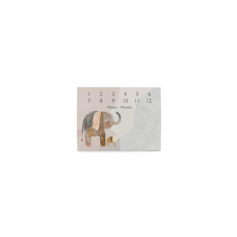 CEBA 309-000-781 Foto mata 92x72 Basic Elephant Family