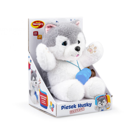 DUMEL DD 30820 Piesek Husky